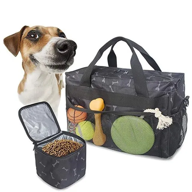 بلی پالتو علاج بیگ