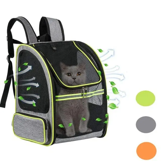 گنی پگ کیریئر بیگ